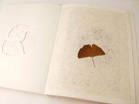  Le Ginkgo de R. Laruelle & M. Poulet. Typographie et choix de papier couverture de S. Gicquel, éd. Ayrel