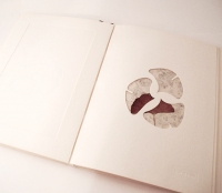  Le Ginkgo de R. Laruelle & M. Poulet. Typographie et choix de papier couverture de S. Gicquel, éd. Ayrel